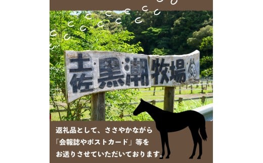 競走馬 支援 1万円 コース 黒潮友馬会応援 10000円 特典 ポストカード 競馬 サラブレッド 引退 高知県 須崎市 選べる 寄付額 引退 余生支援