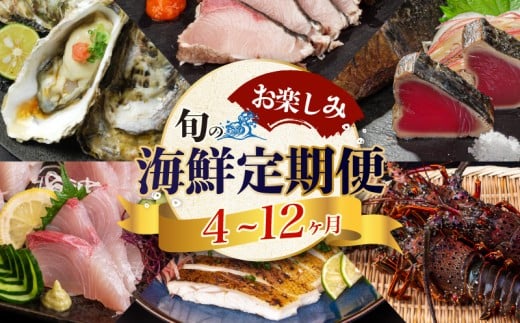 【 高知 の 海鮮 定期便 】 旬 海鮮定期便 6回 お楽しみ 高知 海鮮 かつお タタキ 鯛 タイ 勘八 カンパチ 牡蠣 カキ しらす シラス ウツボ うつぼ 貝 盛合 定期便 6回  半年 高級魚  魚貝 道の駅 高知県 須崎市 NS10000-x
