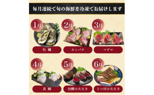 【 高知 の 海鮮 定期便 】 旬 海鮮定期便 6回 お楽しみ 高知 海鮮 かつお タタキ 鯛 タイ 勘八 カンパチ 牡蠣 カキ しらす シラス ウツボ うつぼ 貝 盛合 定期便 6回  半年 高級魚  魚貝 道の駅 高知県 須崎市 NS10000-x