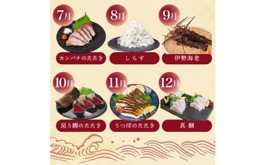 【 高知 の 海鮮 定期便 】 旬 海鮮定期便 6回 お楽しみ 高知 海鮮 かつお タタキ 鯛 タイ 勘八 カンパチ 牡蠣 カキ しらす シラス ウツボ うつぼ 貝 盛合 定期便 6回  半年 高級魚  魚貝 道の駅 高知県 須崎市 NS10000-x