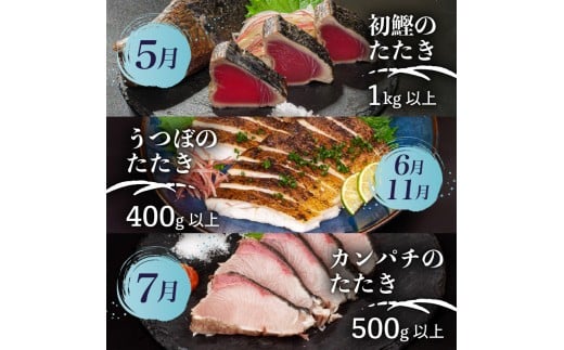 【 高知 の 海鮮 定期便 】 旬 海鮮定期便 6回 お楽しみ 高知 海鮮 かつお タタキ 鯛 タイ 勘八 カンパチ 牡蠣 カキ しらす シラス ウツボ うつぼ 貝 盛合 定期便 6回  半年 高級魚  魚貝 道の駅 高知県 須崎市 NS10000-x