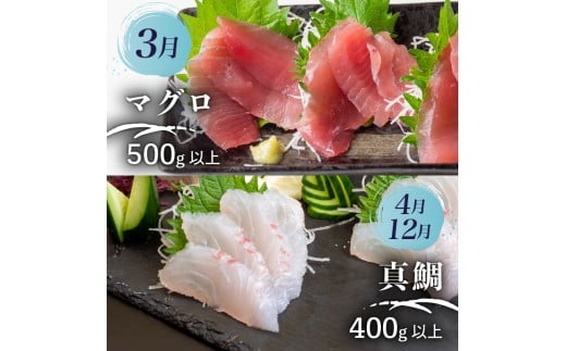 【 高知 の 海鮮 定期便 】 旬 海鮮定期便 6回 お楽しみ 高知 海鮮 かつお タタキ 鯛 タイ 勘八 カンパチ 牡蠣 カキ しらす シラス ウツボ うつぼ 貝 盛合 定期便 6回  半年 高級魚  魚貝 道の駅 高知県 須崎市 NS10000-x