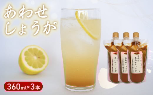 濃縮 生姜 シロップ パウチ 3パック セット 360ml 万能 調味料 生姜 自由自在 あわせしょうが ドレッシング 飲料 調理 ジュース KP008-2x