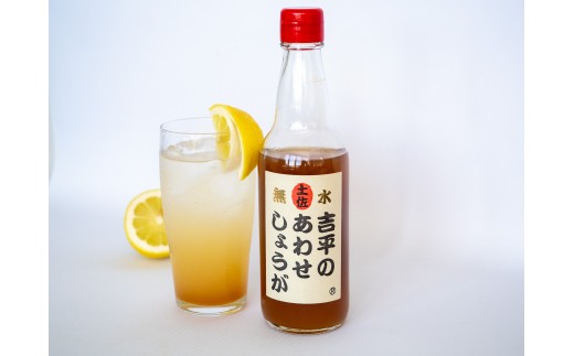 濃縮 生姜 シロップ パウチ 3パック セット 360ml 万能 調味料 生姜 自由自在 あわせしょうが ドレッシング 飲料 調理 ジュース KP008-2x