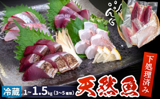 天然 鮮魚 詰め合わせ 朝獲れ直送 下処理済み 3~5種入り 1kg～1.5kg （2026年6月出荷） 冷蔵 魚種お任せ 水揚げ 海鮮 魚介 産地直送 新鮮 魚 鮮魚ボックス