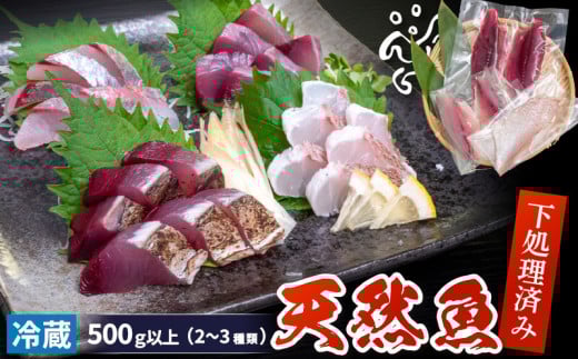 天然 鮮魚 詰め合わせ 朝獲れ直送 下処理済み 2~3種入り 500g以上 （2026年4月出荷） 冷蔵 刺身 魚種お任せ 水揚げ 海鮮 魚介 産地直送 新鮮 魚 鮮魚ボックス