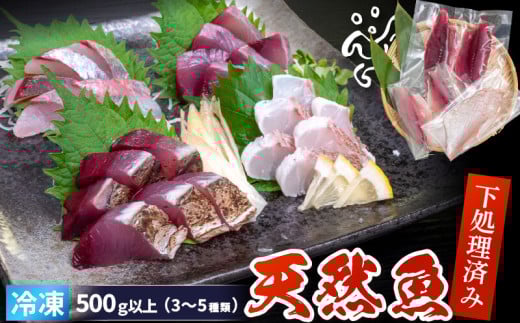 天然 鮮魚 詰め合わせ 朝獲れ直送 下処理済み 2~3種入り 500g以上 （2026年4月出荷） 冷凍 刺身 魚種お任せ 水揚げ 海鮮 魚介 産地直送 新鮮 魚 鮮魚ボックス