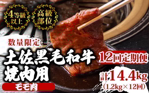 【定期便12回】土佐黒毛和牛モモ肉焼肉用 計14.4kg（1.2kg×12ヶ月連続お届け)  3Vコース | 特撰 モモ肉 最上位等級 A4 A5 最高ランク 贅沢 焼き肉 やきにく 小分け 冷凍 国産 ブランド 和牛 牛肉 大人気 ギフト リピート リピーター おすすめ ランキング おいしい 限定 高評価 BBQ バーベキュー キャンプ アウトドア 高知県 須崎 TM76000