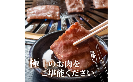 【定期便6回】土佐 黒毛 和牛 焼肉用 計4.8kg（800g×6ヶ月連続お届け) 4Sコース | 特撰 リブロース ロース 最上位等級 A4 A5 最高ランク 贅沢 焼き肉 やきにく 小分け 冷凍 国産 ブランド 和牛 牛肉 大人気 ギフト リピート リピーター おすすめ ランキング おいしい 限定 高評価 BBQ バーベキュー キャンプ アウトドア 高知県 須崎 TM99000