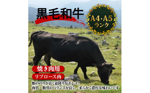 【定期便6回】土佐 黒毛 和牛 焼肉用 計4.8kg（800g×6ヶ月連続お届け) 4Sコース | 特撰 リブロース ロース 最上位等級 A4 A5 最高ランク 贅沢 焼き肉 やきにく 小分け 冷凍 国産 ブランド 和牛 牛肉 大人気 ギフト リピート リピーター おすすめ ランキング おいしい 限定 高評価 BBQ バーベキュー キャンプ アウトドア 高知県 須崎 TM99000