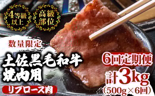 【定期便6回】土佐 黒毛 和牛 焼肉用 計3kg（500g×6ヶ月連続お届け) 4Oコース | 特撰 リブロース ロース 最上位等級 A4 A5 最高ランク 贅沢 焼き肉 やきにく 小分け 冷凍 国産 ブランド 和牛 牛肉 大人気 ギフト リピート リピーター おすすめ ランキング おいしい 限定 高評価 BBQ バーベキュー キャンプ アウトドア 高知県 須崎 TM95000