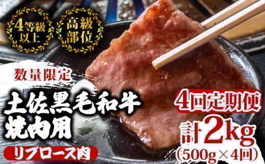 【定期便4回】土佐 黒毛 和牛 焼肉用 計2kg（500g×4ヶ月連続お届け) 4Nコース | 特撰 リブロース ロース 最上位等級 A4 A5 最高ランク 贅沢 焼き肉 やきにく 小分け 冷凍 国産 ブランド 和牛 牛肉 大人気 ギフト リピート リピーター おすすめ ランキング おいしい 限定 高評価 BBQ バーベキュー キャンプ アウトドア 高知県 須崎 TM94000