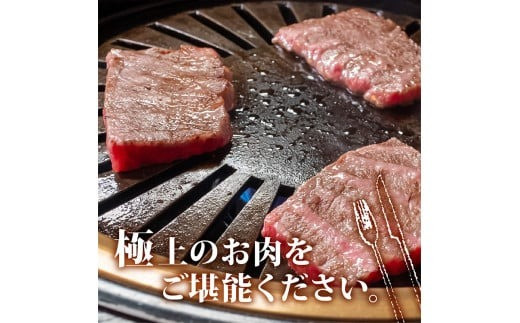 【定期便4回】土佐黒毛和牛モモ肉焼肉用 計3.2kg（800g×4ヶ月連続お届け)  3Pコース | 特撰 モモ肉 最上位等級 A4 A5 最高ランク 贅沢 焼き肉 やきにく 小分け 冷凍 国産 ブランド 和牛 牛肉 大人気 ギフト リピート リピーター おすすめ ランキング おいしい 限定 高評価 BBQ バーベキュー キャンプ アウトドア 高知県 須崎 TM70000
