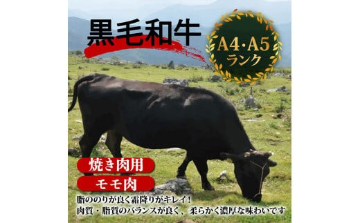 【定期便3回】土佐黒毛和牛モモ肉焼肉用 計2.4kg（800g×3ヶ月連続お届け)  3Oコース | 特撰 モモ肉 最上位等級 A4 A5 最高ランク 贅沢 焼き肉 やきにく 小分け 冷凍 国産 ブランド 和牛 牛肉 大人気 ギフト リピート リピーター おすすめ ランキング おいしい 限定 高評価 BBQ バーベキュー キャンプ アウトドア 高知県 須崎 TM69000