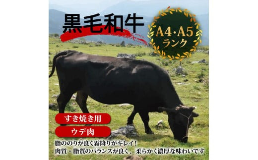 【定期便4回】土佐黒毛和牛ウデ肉すき焼き用 計4.8kg（1.2g×4ヶ月連続お届け)  3Lコース | 特撰 ウデ肉 肩肉 最上位等級 A4 A5 最高ランク 贅沢 すきやき スキヤキ用 鍋 焼肉用 小分け 冷凍 国産 牛肉 高知県 須崎 TM66000