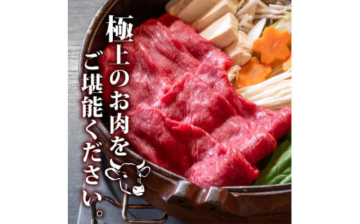 【定期便4回】土佐黒毛和牛ウデ肉すき焼き用 計4.8kg（1.2g×4ヶ月連続お届け)  3Lコース | 特撰 ウデ肉 肩肉 最上位等級 A4 A5 最高ランク 贅沢 すきやき スキヤキ用 鍋 焼肉用 小分け 冷凍 国産 牛肉 高知県 須崎 TM66000