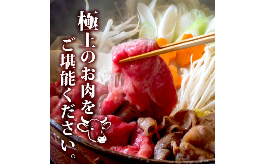 【定期便3回】土佐黒毛和牛ウデ肉すき焼き用 計3.6kg（1.2g×3ヶ月連続お届け)  3Kコース | 特撰 ウデ肉 肩肉 最上位等級 A4 A5 最高ランク 贅沢 すきやき スキヤキ用 鍋 焼肉用 小分け 冷凍 国産 牛肉 高知県 須崎 TM65000