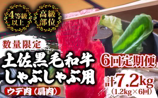 【定期便6回】土佐黒毛和牛ウデ肉しゃぶしゃぶ用 計7.2kg（1.2kg×6ヶ月連続お届け) 3Eコース | 特撰 ウデ肉 肩肉 最上位等級 A4 A5 最高ランク 贅沢 しゃぶしゃぶ　鍋 スライス 焼肉用 小分け 冷凍 国産 牛肉 高知県 須崎 TM59000