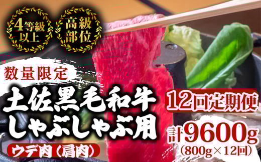 【定期便12回】土佐黒毛和牛ウデ肉しゃぶしゃぶ用 計9.6kg（800g×12ヶ月連続お届け) 3Bコース | 特撰 ウデ肉 肩肉 最上位等級 A4 A5 最高ランク 贅沢 しゃぶしゃぶ　鍋 スライス 焼肉用 小分け 冷凍 国産 牛肉 高知県 須崎 TM56000