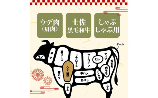 【定期便3回】土佐黒毛和牛ウデ肉しゃぶしゃぶ用 計2.4kg（800g×3ヶ月連続お届け) 2Yコース | 特撰 ウデ肉 肩肉 最上位等級 A4 A5 最高ランク 贅沢 しゃぶしゃぶ　鍋 スライス 焼肉用 小分け 冷凍 国産 牛肉 高知県 須崎 TM53000