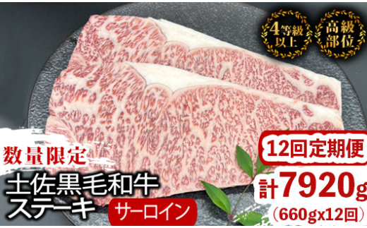 【定期便12回】土佐黒毛和牛サーロインステーキ 計7.92kg（660g×12ヶ月連続お届け) 2Xコース | 特撰 サーロイン肉 最上位等級 A4 A5 最高 ランク 贅沢 厚切り ステーキ用 焼肉用 キャンプ飯 国産 牛肉 高知県 須崎市 TM52000