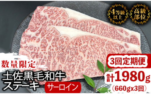 【定期便3回】土佐黒毛和牛サーロインステーキ 計1.98kg（660g×3ヶ月連続お届け) 2Uコース | 特撰 サーロイン肉 最上位等級 A4 A5 最高 ランク 贅沢 厚切り ステーキ用 焼肉用 キャンプ飯 国産 牛肉 高知県 須崎市 TM49000