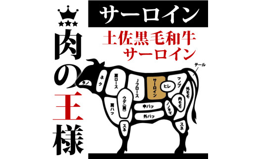 【定期便3回】土佐黒毛和牛サーロインステーキ 計1.32kg（440g×3ヶ月連続お届け) 2Qコース | 特撰 サーロイン肉 最上位等級 A4 A5 最高 ランク 贅沢 厚切り ステーキ用 焼肉用 キャンプ飯 国産 牛肉 高知県 須崎市 TM45000