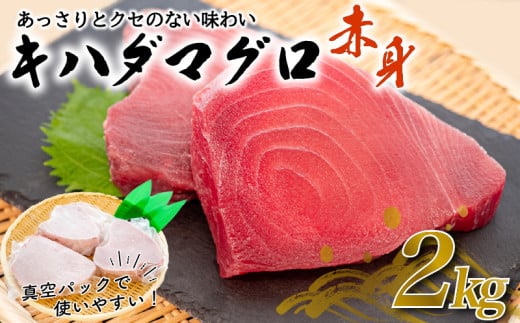 訳あり 大満足！もちもち キハダマグロ 赤身 2kg TY037