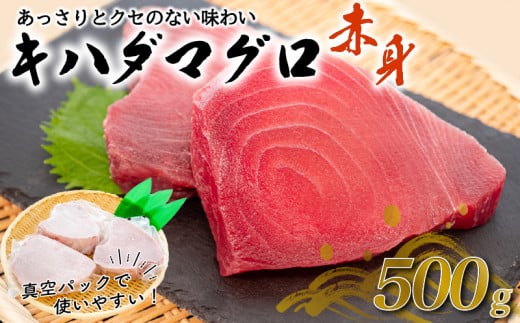 訳あり 大満足！もちもち キハダマグロ 赤身 500g  TY036