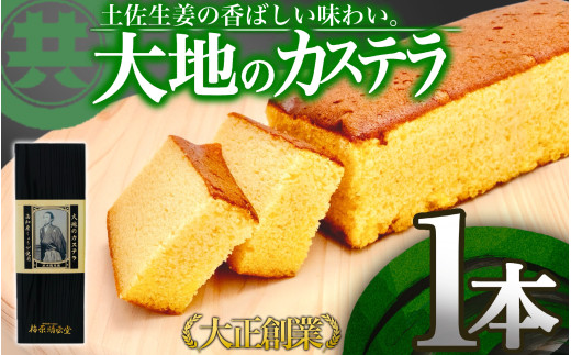 大地のカステラ  国産 スイーツ デザート 焼き菓子 ケーキ 高知県 須崎市 MK025