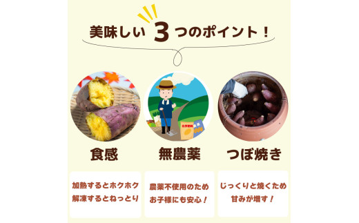 訳あり 冷凍 焼き芋 2kg 紅はるか 数量限定 選別紅はるか 高知県 須崎市 TJ015