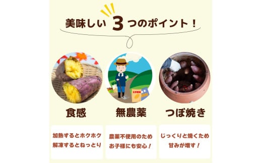 訳あり 冷凍 焼き芋 1.5kg 紅はるか 数量限定 選別紅はるか 高知県 須崎市 TJ014