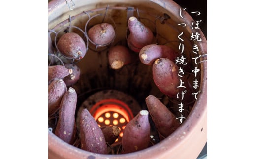 訳あり 冷凍 焼き芋 1.5kg 紅はるか 数量限定 選別紅はるか 高知県 須崎市 TJ014