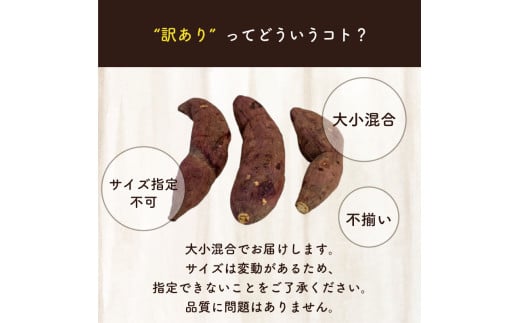 訳あり 冷凍 焼き芋 1.5kg 紅はるか 数量限定 選別紅はるか 高知県 須崎市 TJ014