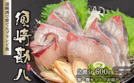 須崎勘八 600g | 勘八 環八 カンパチ かんぱち ブランド 魚 鮮魚 海鮮 刺身 さしみ 焼き魚 料理 簡単調理 背 腹 下処理有 高知県 須崎市