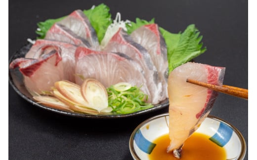 須崎勘八 600g | 勘八 環八 カンパチ かんぱち ブランド 魚 鮮魚 海鮮 刺身 さしみ 焼き魚 料理 簡単調理 背 腹 下処理有 高知県 須崎市 
