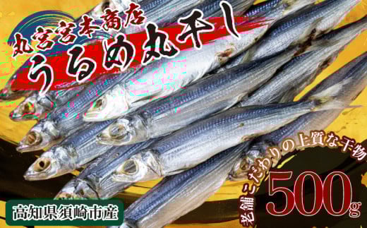 特上品 うるめいわし 500g 干物 鰯 煮干し 真いわし 真鰯 稚魚 おやつ 乾物 魚介 加工品 ウルメ 丸宮 宮本 商店 土佐 海洋深層水 ミネラル 高知県 須崎市  MMY020-2x