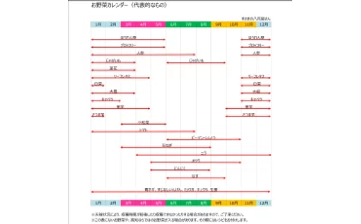 定期便 6回 奇数月発送 旬 野菜 詰め合わせ セット 7 ～ 8品 数量限定 限定 セット やさい 送料無料 頒布会 ほうれん草 ブロッコリー ニンジン 人参 じゃがいも 白菜 キャベツ 小松菜 ピーマン ししとう タマネギ オクラ なす ネギ さつまいも 里芋 にんにく きゅうり しょうが 生姜  NK12000