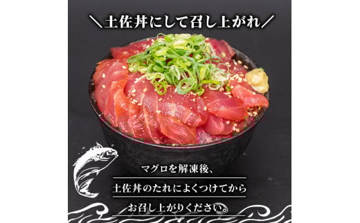 キハダマグロ 赤身 1kg 土佐丼 たれ 1本 150ml セット 高知県 須崎市