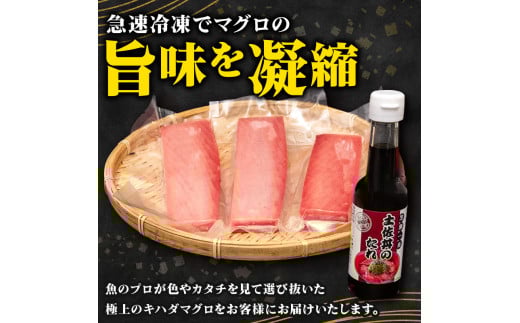 キハダマグロ 赤身 1kg 土佐丼 たれ 1本 150ml セット 高知県 須崎市