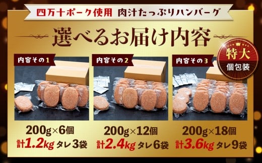 ハンバーグ 四万十ポーク 入り 2.4kg ( 200g × 12個 )  冷凍 真空 小分け 個包装 肉汁 たっぷり 大容量 大きめ 合挽き 牛肉 豚肉 保存料 不使用 ビーフ ポーク 合いびき肉 挽肉 ジューシー お弁当 おかず 惣菜 晩ごはん 贅沢 ギフト 贈り物 贈答 SNM001-1