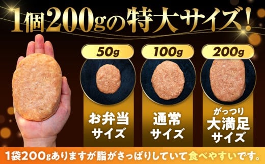 ハンバーグ 四万十ポーク 入り 2.4kg ( 200g × 12個 )  冷凍 真空 小分け 個包装 肉汁 たっぷり 大容量 大きめ 合挽き 牛肉 豚肉 保存料 不使用 ビーフ ポーク 合いびき肉 挽肉 ジューシー お弁当 おかず 惣菜 晩ごはん 贅沢 ギフト 贈り物 贈答 SNM001-1