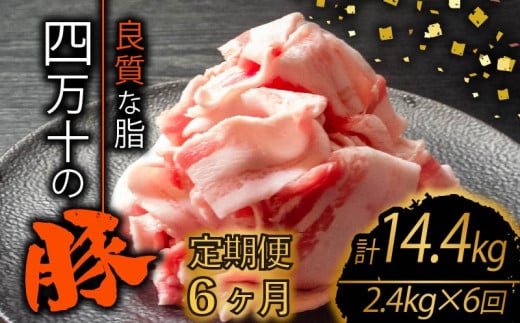 【定期便6回】四万十ポークスライス 計14.4kg（2.4kg×6ヶ月連続お届け) 2Lコース | 豚肉 豚バラ肉 小分け 小間切れ スライス 切り落とし 冷凍 真空パック 簡単調理 細切れ 大容量 肉 高知県 須崎市 TM40000
