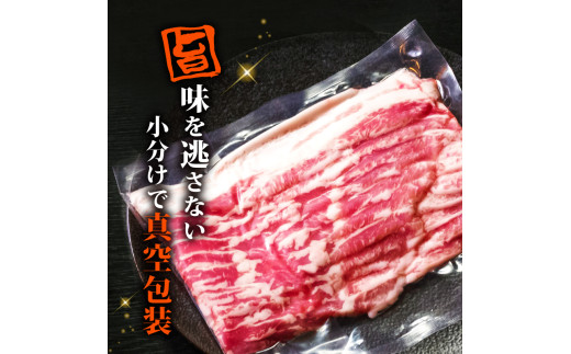 【定期便6回】四万十ポークスライス 計14.4kg（2.4kg×6ヶ月連続お届け) 2Lコース | 豚肉 豚バラ肉 小分け 小間切れ スライス 切り落とし 冷凍 真空パック 簡単調理 細切れ 大容量 肉 高知県 須崎市 TM40000