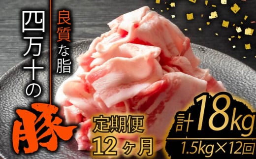 【定期便12回】四万十ポークスライス 計18kg（1.5kg×12ヶ月連続お届け) 2Jコース | 豚肉 豚バラ肉 小分け 小間切れ スライス 切り落とし 冷凍 真空パック 簡単調理 細切れ 大容量 肉 高知県 須崎市 TM38000