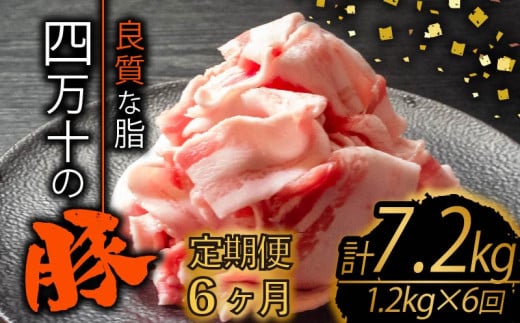 【定期便6回】四万十ポークスライス 計7.2kg（1.2kg×6ヶ月連続お届け) 2Fコース | 豚肉 豚バラ肉 小分け 小間切れ スライス 切り落とし 冷凍 真空パック 簡単調理 細切れ 大容量 肉 高知県 須崎市 TM34000