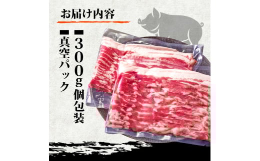 【定期便3回】四万十ポークスライス 計3.6kg（1.2kg×3ヶ月連続お届け) 2Eコース | 豚肉 豚バラ肉 小分け 小間切れ スライス 切り落とし 冷凍 真空パック 簡単調理 細切れ 大容量 肉 高知県 須崎市 TM33000