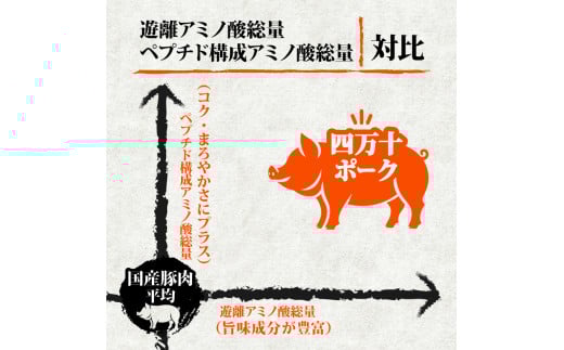 【定期便3回】四万十ポークスライス 計3.6kg（1.2kg×3ヶ月連続お届け) 2Eコース | 豚肉 豚バラ肉 小分け 小間切れ スライス 切り落とし 冷凍 真空パック 簡単調理 細切れ 大容量 肉 高知県 須崎市 TM33000