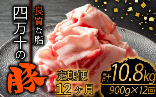 【定期便12回】四万十ポークスライス 計10.8kg（900g×12ヶ月連続お届け) 2Dコース | 豚肉 豚バラ肉 小分け 小間切れ スライス 切り落とし 冷凍 真空パック 簡単調理 細切れ 大容量 肉 高知県 須崎市 TM32000