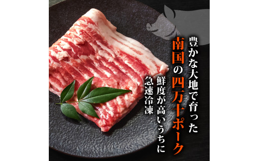 【定期便12回】四万十ポークスライス 計10.8kg（900g×12ヶ月連続お届け) 2Dコース | 豚肉 豚バラ肉 小分け 小間切れ スライス 切り落とし 冷凍 真空パック 簡単調理 細切れ 大容量 肉 高知県 須崎市 TM32000